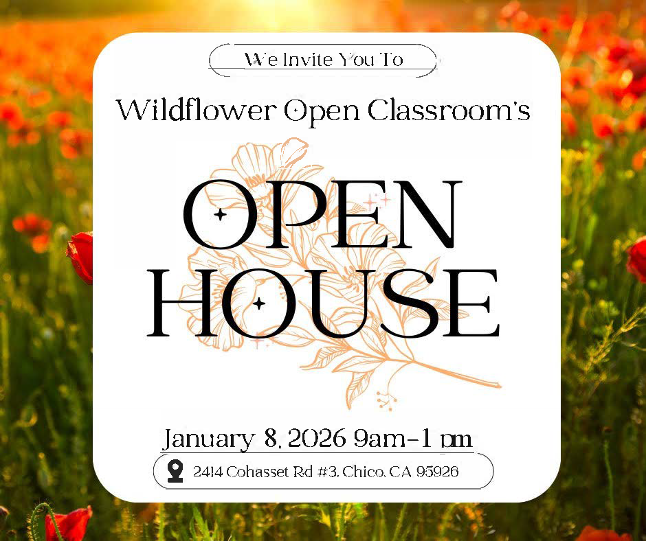 Open House 1/8/26
