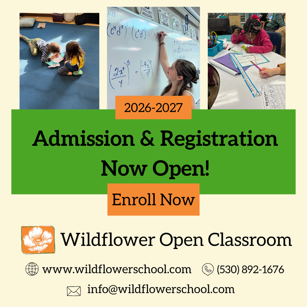 Enrollment and admission is now open at Wildflower!