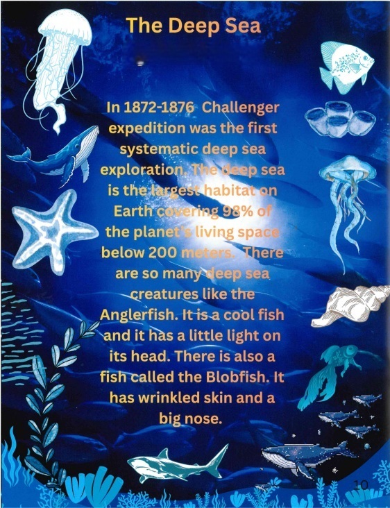 This student article explores the deep blue sea through the Challenger Expedition!