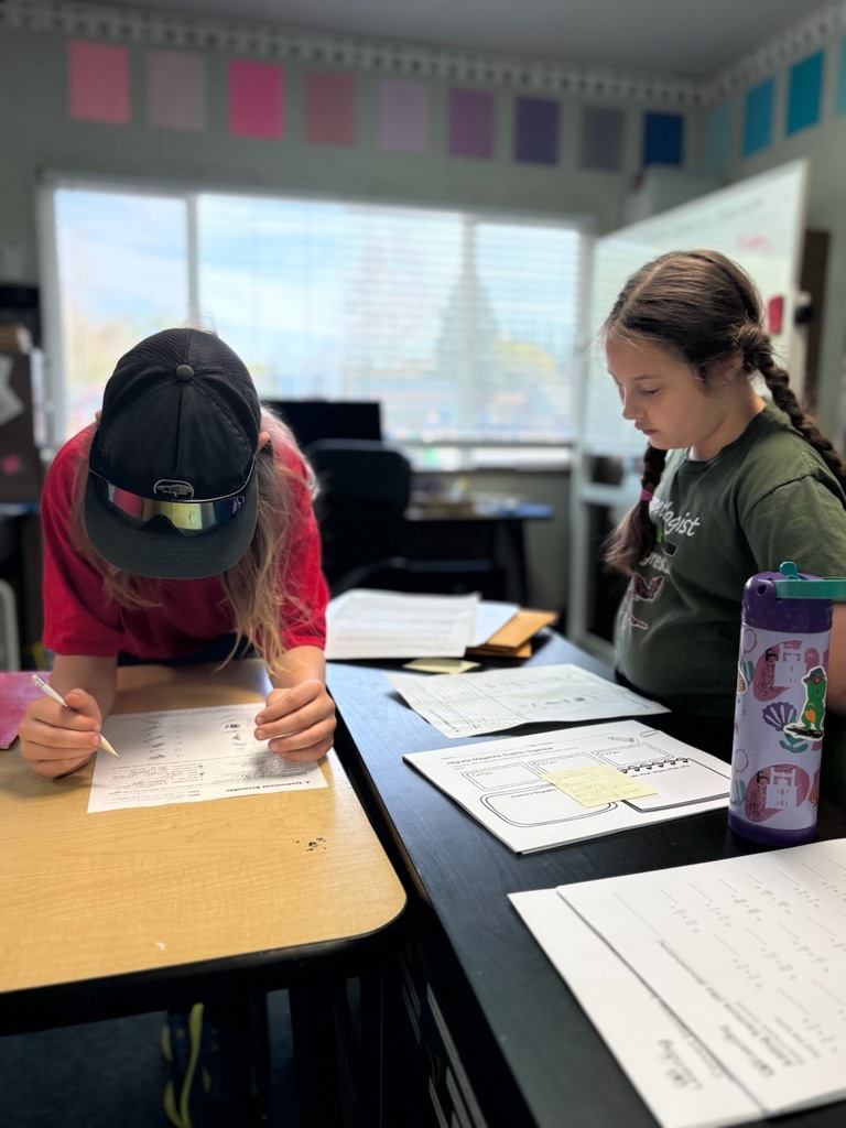 Two more of our Starflowers hard at work!