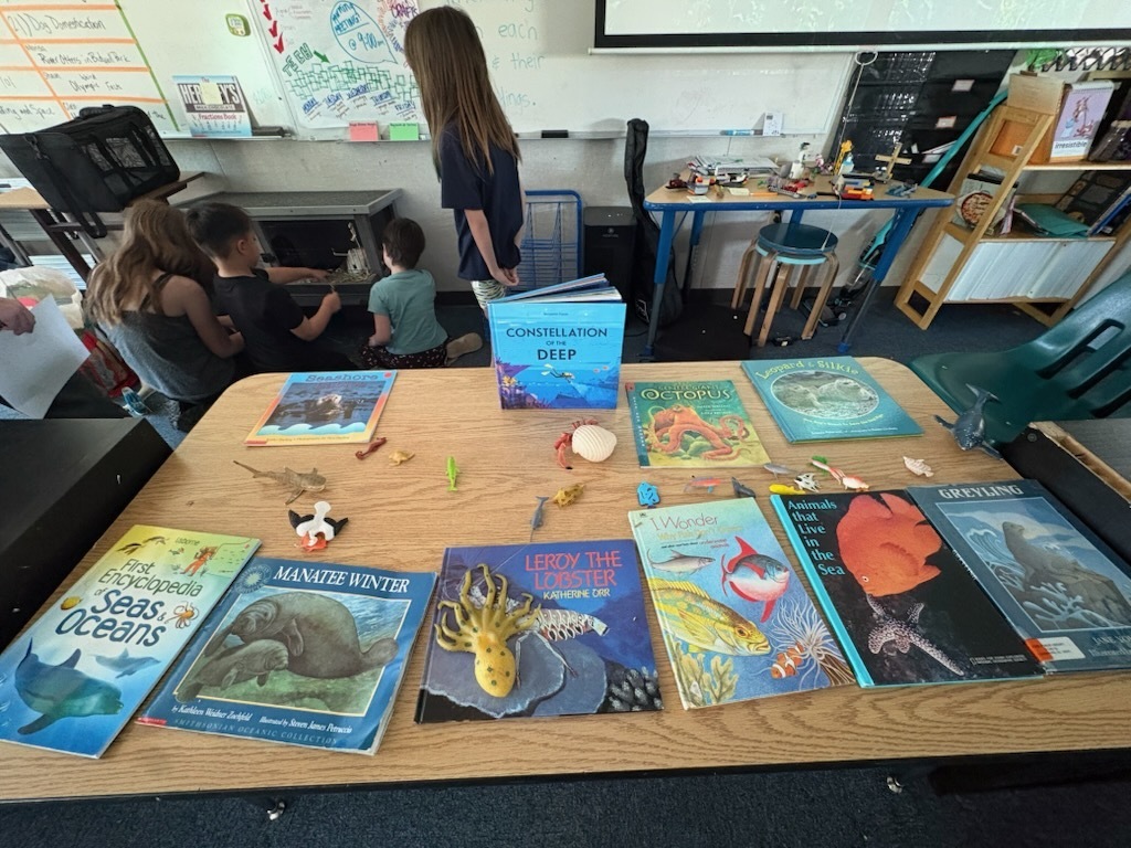 A table display full of books about the ocean and ocean creatures!