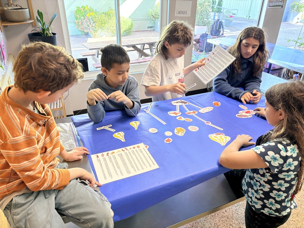Students collaborating on a science activity all about the kelp forest food web!