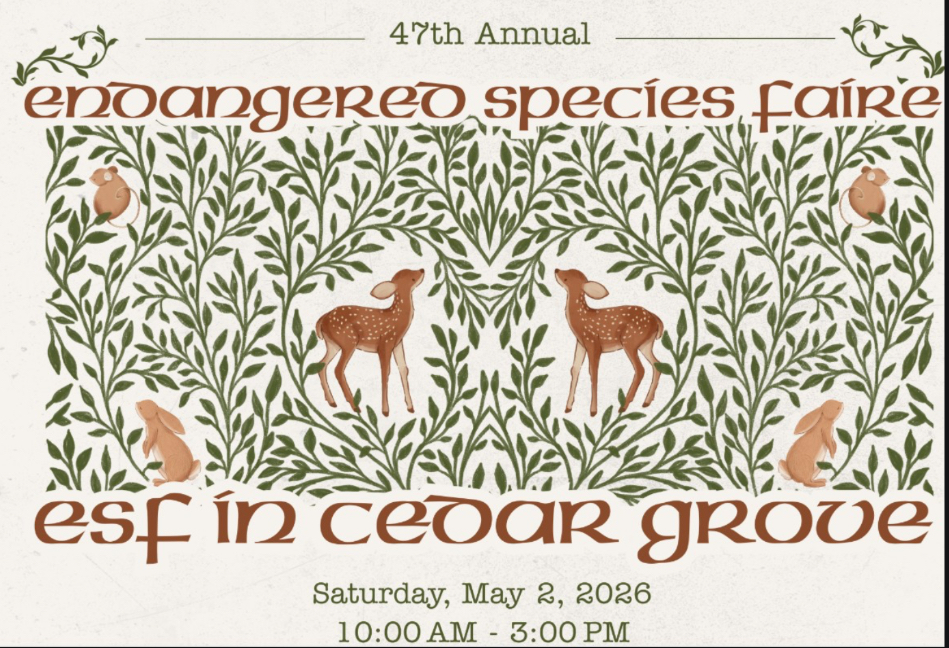 This year's Endangered Species Faire flyer! 
