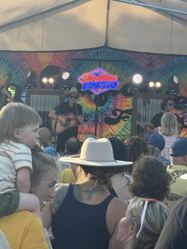 A beautiful crowd enjoying The Brothers Comatose!