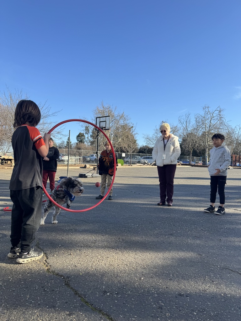 Here is Marley showing how he jumps through a hula-hoop to a group of students!