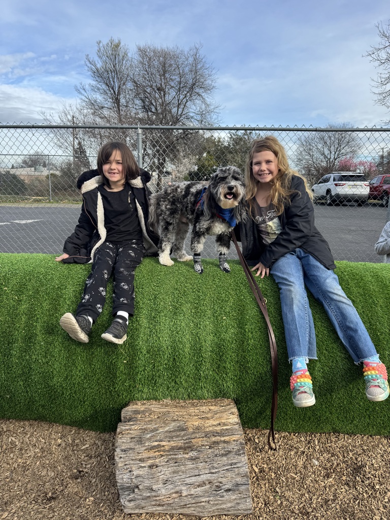Two of our students hanging out with Marley on top of the playground tunnel!