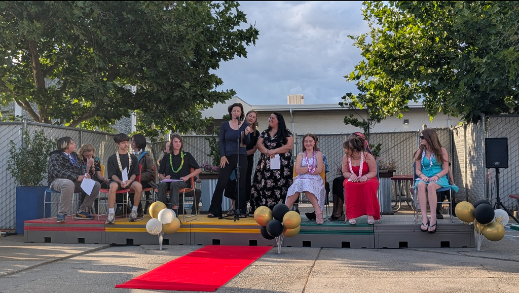 All of our graduating 8th graders sharing the stage for their graduation!