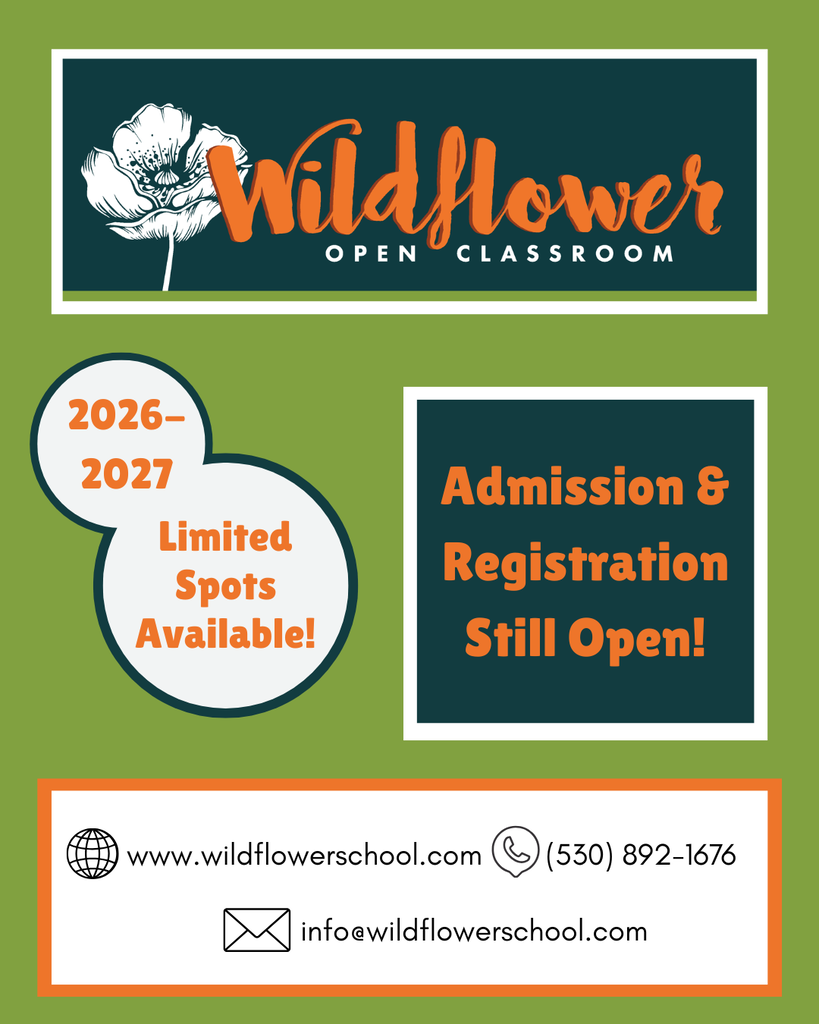Our open enrollment flyer for the 2026-2027 school year!