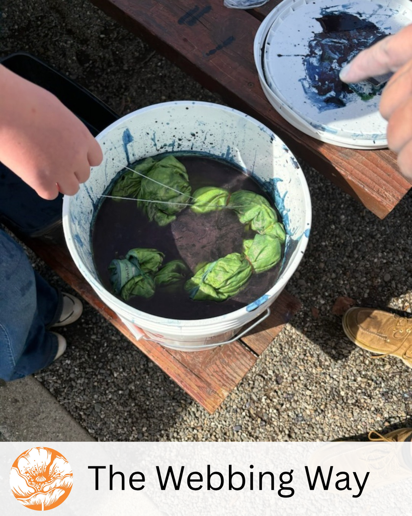 The Webbing Way pillar with a visual photo of our 4th and 5th grade class doing shibori dyeing.