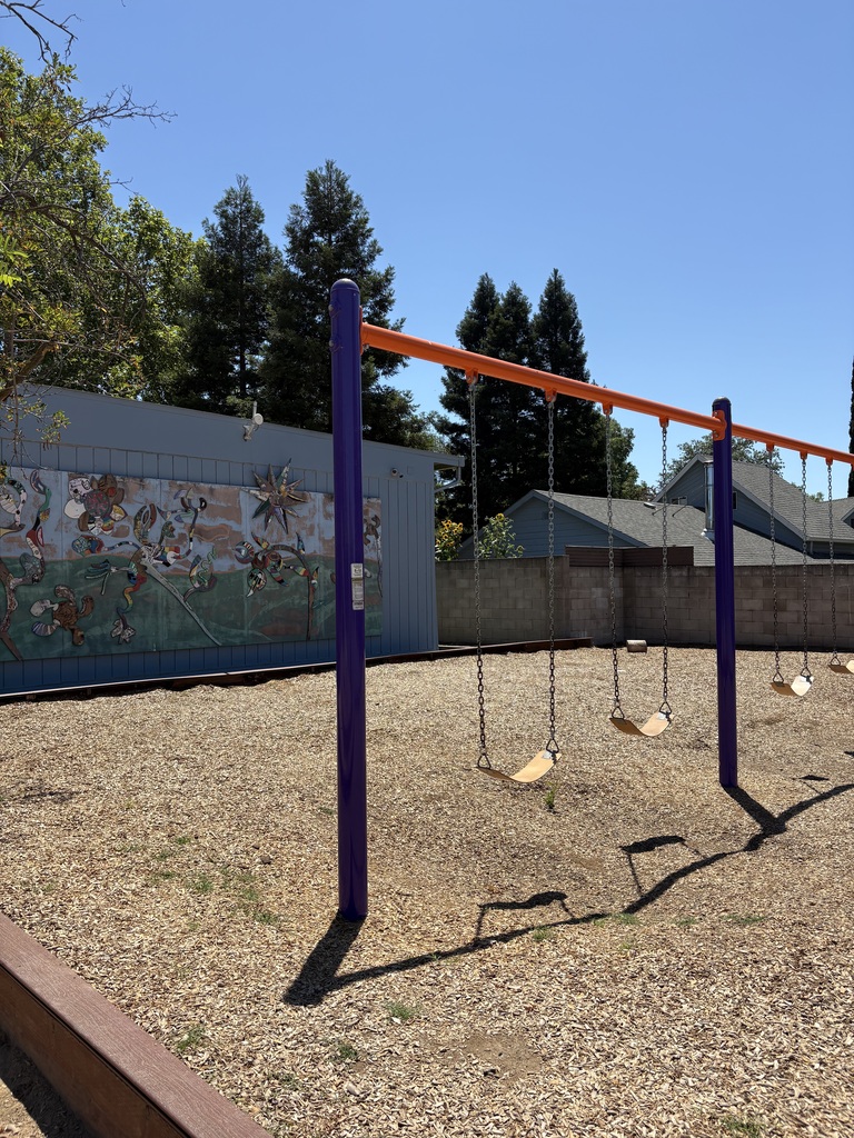A photo of our swingset with our student made mural in the background.
