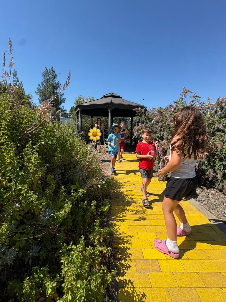 A picture of a group of students going on a scavenger hunt on the Yellow Brick Road in the Little Red Hen gardens.