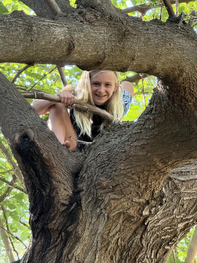 A picture of one of our students peeking out of a tree that she climbed.