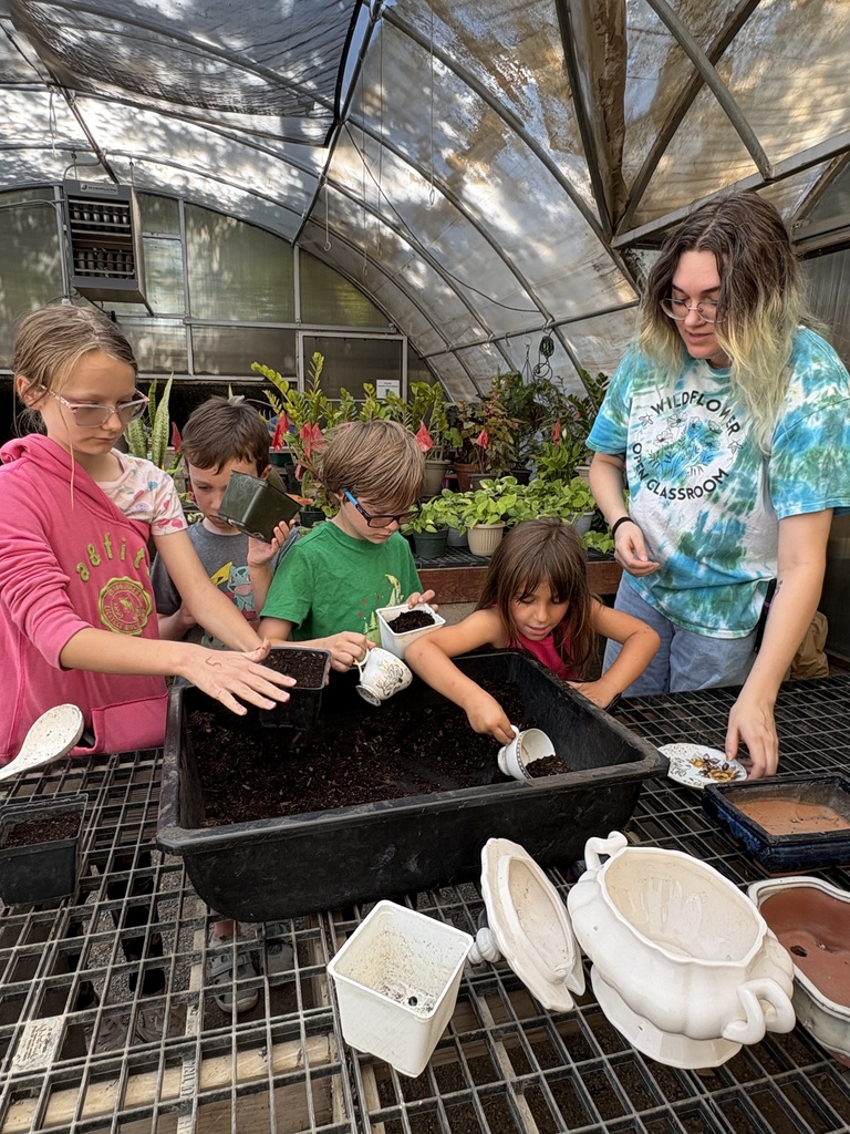 A camp counselor and four students working together on planting individual pumpkin plants.