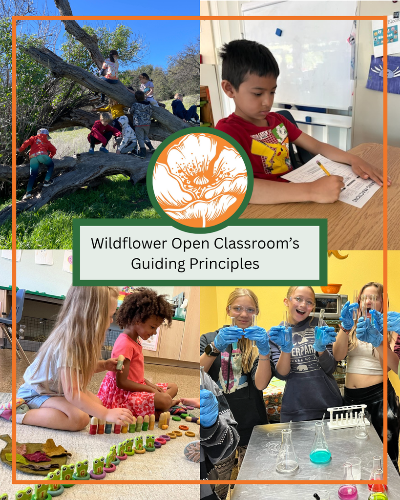 A poster with four photos from our classrooms in each corner that also include text stating "Wildflower Open Classroom's Guiding Principles."