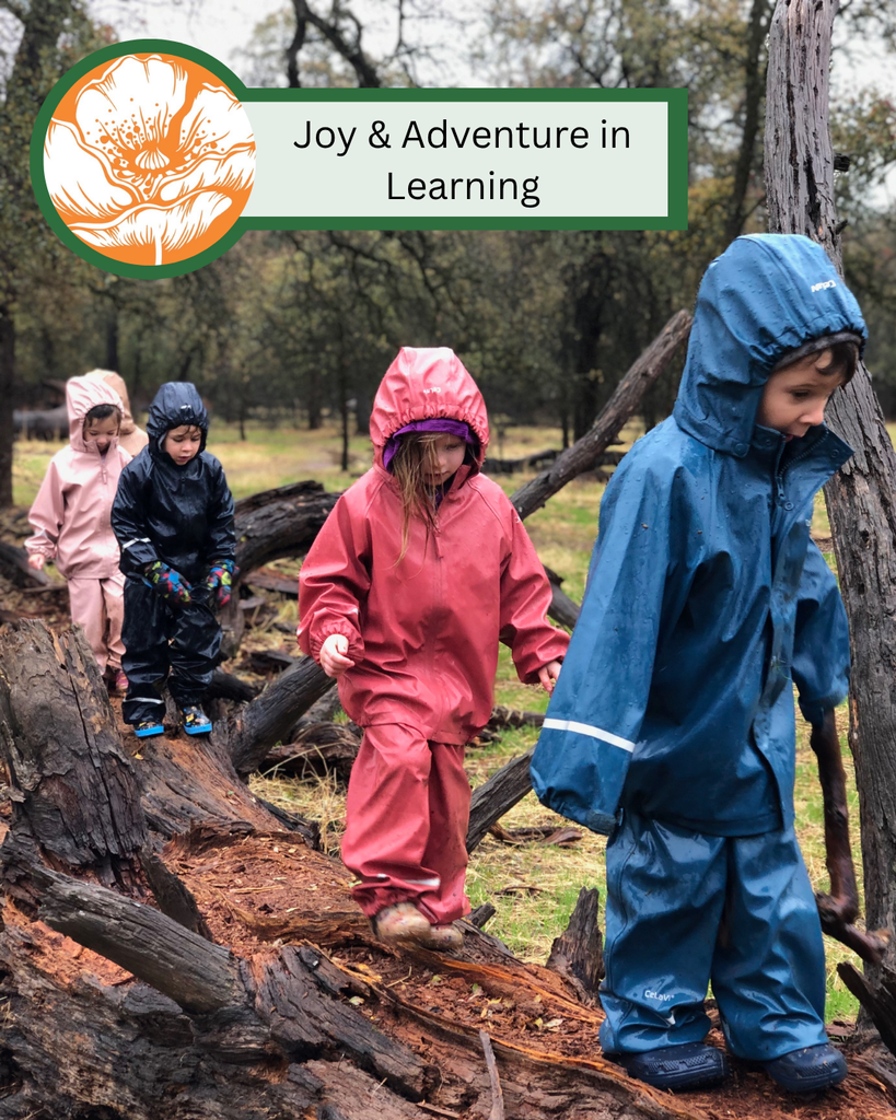 A photo of four students walking across a long with text stating "Joy & Adventure in Learning."