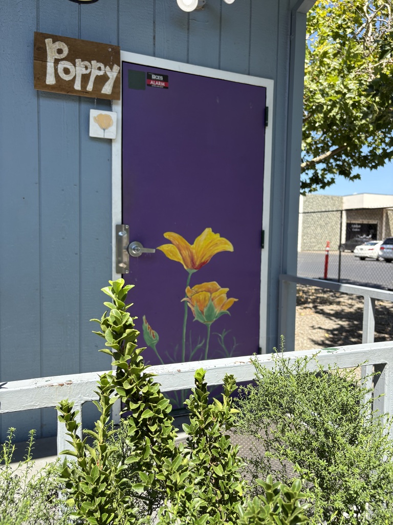 Here is a photo of our Poppy classroom, with a Poppy painted on a purple door with our Poppy sign hanging above.