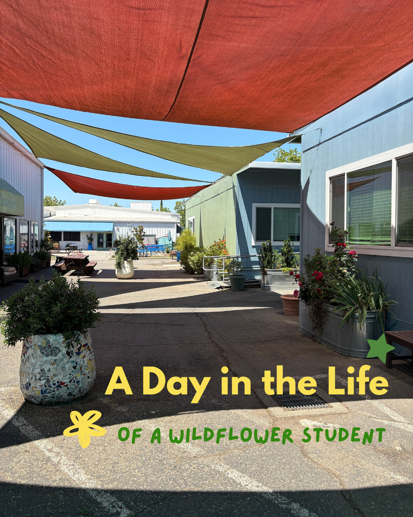 A picture of our main walkway on campus with a caption that says "A Day in the Life of a Wildflower Student."