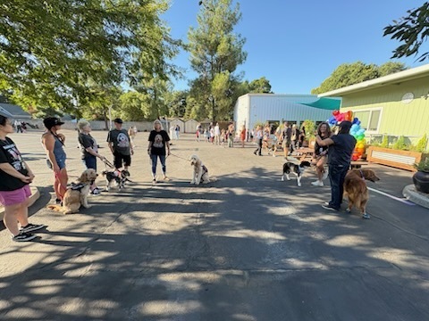 A photo of our Resolute Therapy dogs and volunteers lined up at the front gate, ready to welcome our students.