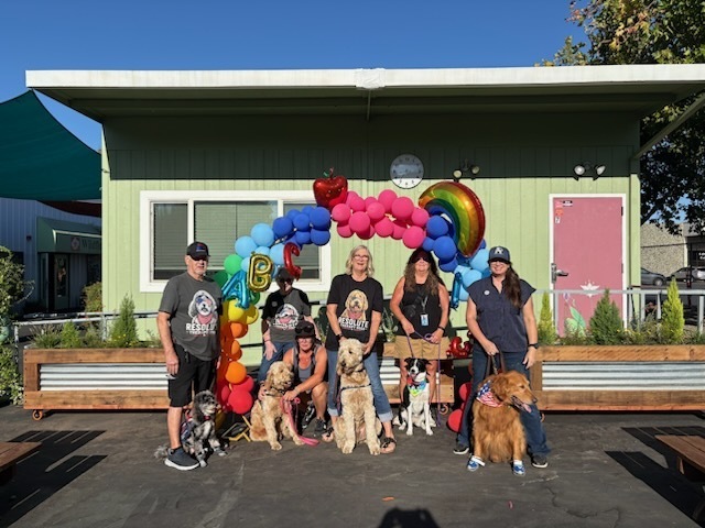 A photo of our six volunteers from Resolute Dog Training and their therapy dogs standing in front of our balloon arch.