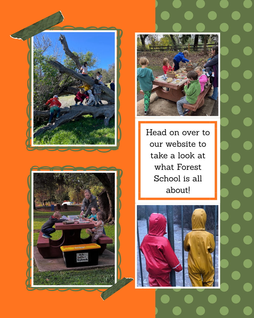 Here is a decorative flier that showcases what Forest School looks like. The flier has an orange background on one side and a green polka dot background on the other. There are four framed photos that show different aspects of Forest School. One is of students climbing on a giant fallen tree, another is of a small group of students going over a lesson at a picnic table, another is of two students standing on a bridge looking down at the creek, and the last if of students at a picnic table working on an art project. There is also a small framed box that says; "Head on over to our website to take a look at what Forest School is all about!"