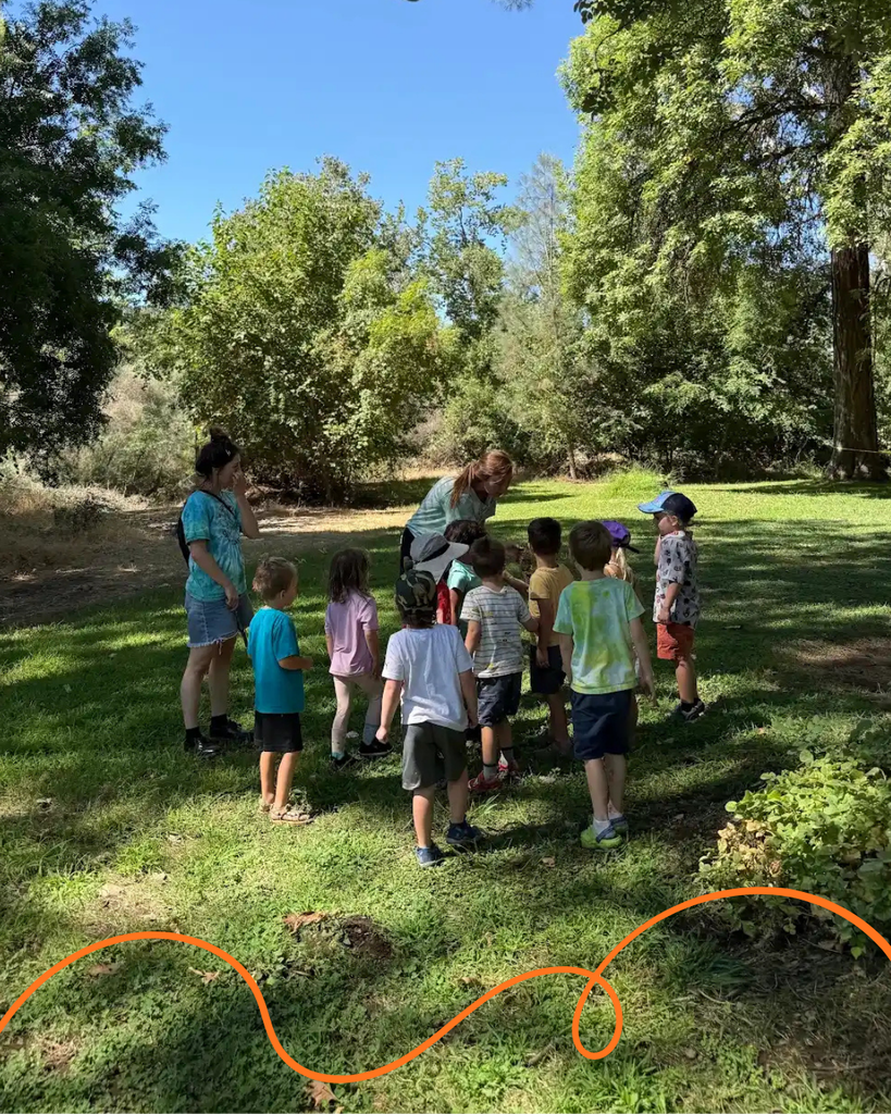 A photo of our Forest School TK class walking through a field as they learn about their topic for the day. It is a clear day, with a blue sky and trees in the background.