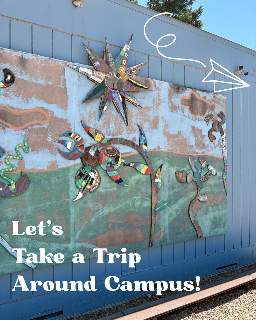 Here is a photo of our wooden all-school mural. The mural sits on the side of a classroom, which is painted blue. The photo shows two flowers and a sun on the mural. In the bottom left corner is a caption that says, "Let's take a trip around campus!" In the top right corner is a paper airplane doodle.