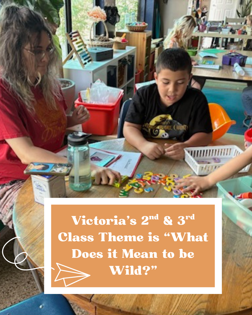 Here is a photo of a teacher and a students working together on an assignment at a table using interactive materials. In an orange framed box, is a caption that says "Victoria's 2nd & 3rd class theme is What Does it Mean to be Wild?" In the bottom left corner is a paper airplane doodle.