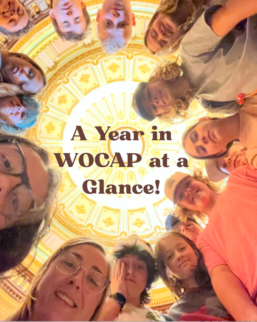 Here is a photo of a group of WOCAP students standing in a circle, looking down at the camera. In the middle of the circle of students is a Victorian style yellow ceiling. This photo was taken in the state capital building. In the center of the students' faces is text that says, "A year in WOCAP at a glance!"
