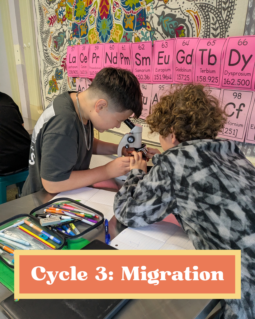 Here is a photo of two students working on a science project together. They are sitting at a desk, one on each side. One student is looking through a microscope and the other student is adjusting something on the microscope. They have their notebooks out with colored pencils and are likely drawing what they see. Towards the bottom, in an orange and yellow box is text that says "Cycle 3: Migration"