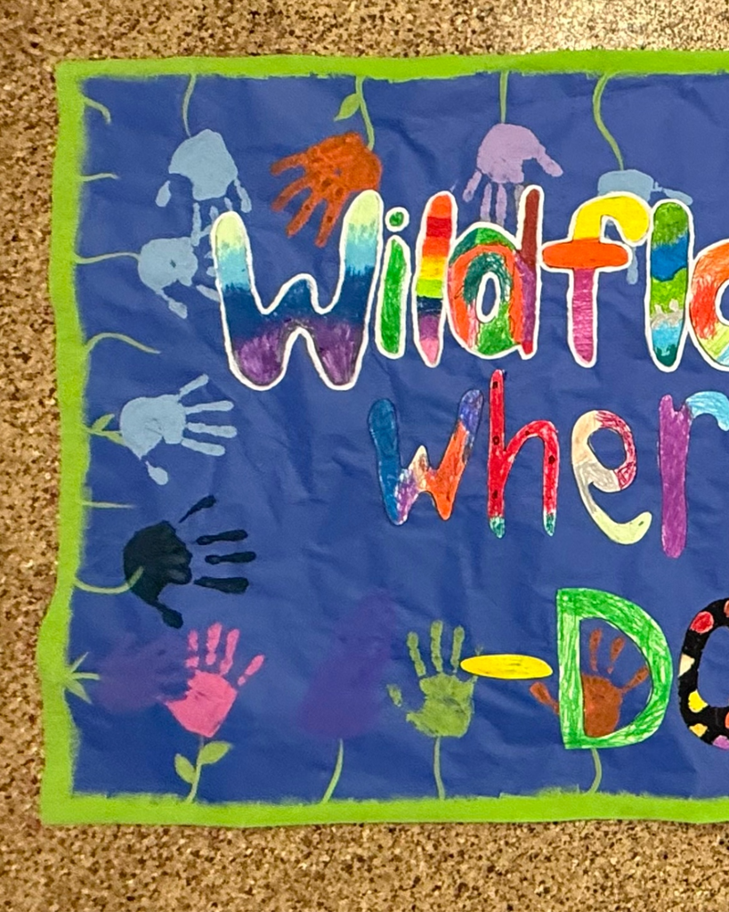 Here is a photo of the banner that students painted of Dolly Parton's quote, "Wildflower don't care where they grow!" The banner background is blue and students have painted each letter of the quote a different color. All around the end of the mural is green painted, which represents the grass. Coming out of the grass are wildflower stems. Students have planted their hand prints in different colors to represent the petals of the flower. This photo is split between three different slides.