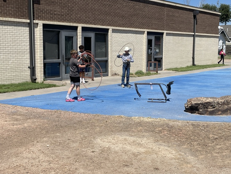 Students enjoying a new addition to the playground. Great to see students enjoying a lifestyle that can be supported and promoted at our small school.