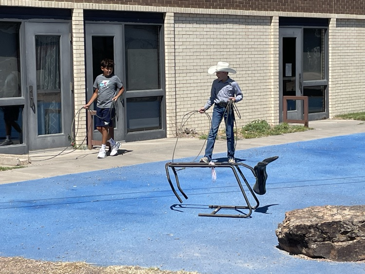 Students enjoying a new addition to the playground. Great to see students enjoying a lifestyle that can be supported and promoted at our small school.
