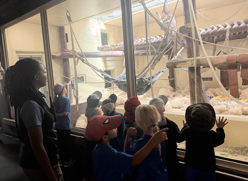 On Thursday, April 9th Kindergarten students along with Miss Barnes, Mrs. Bekka, and Miss Kyra visited the Cheyenne Mountain Zoo. The students did a great job and loved every minute of it. Thank you student for your outstanding behavior. A special shout out to the staff that made this trip happen. 