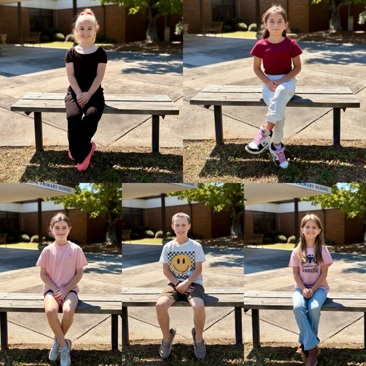 3rd grade 