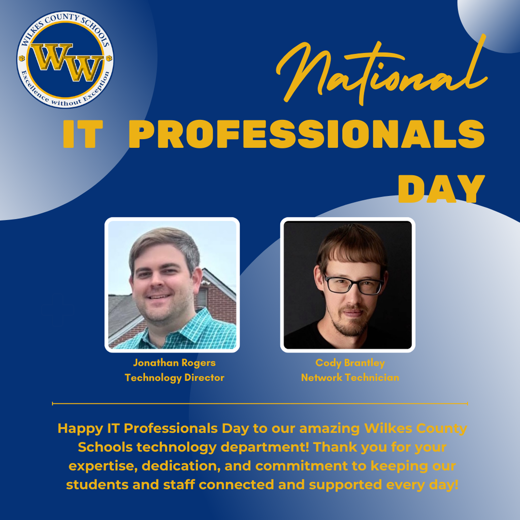 IT Professionals Day