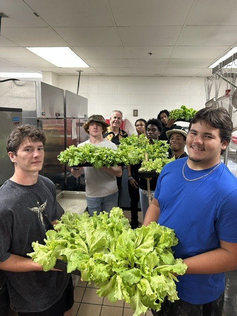 WWCHS lettuce from greenhouse