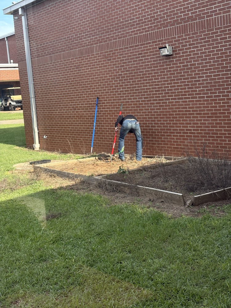 Getting the bed ready for planting