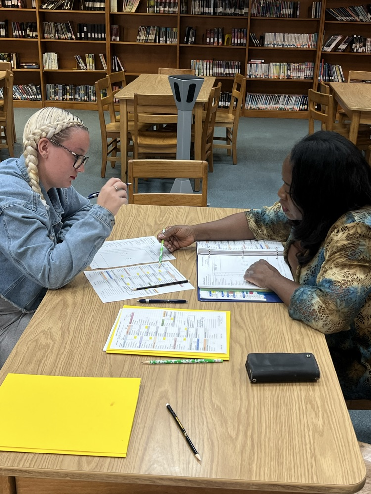 Senior Transcript audits
