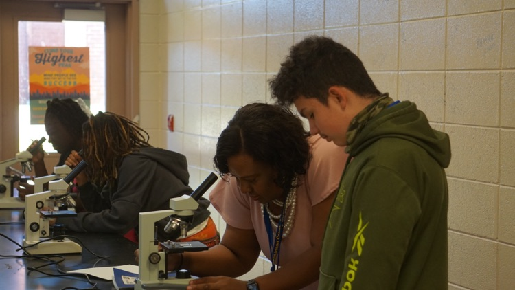 Science In Action 🔬