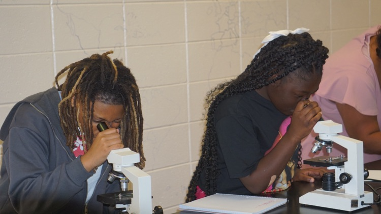 Science In Action 🔬