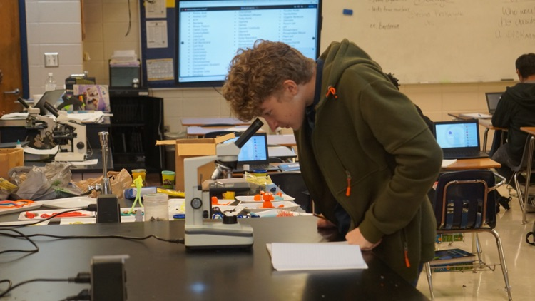 Science In Action 🔬