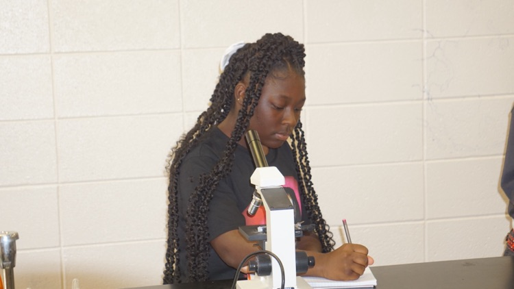 Science In Action 🔬