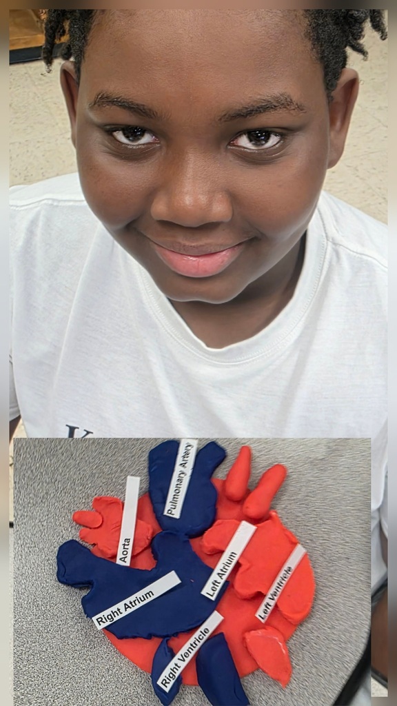 🩺💙 Dr. Scott’s 6th Grade Healthcare Science students are diving into the Cardiovascular System!