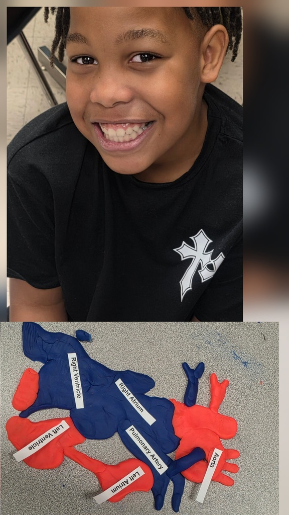 🩺💙 Dr. Scott’s 6th Grade Healthcare Science students are diving into the Cardiovascular System!