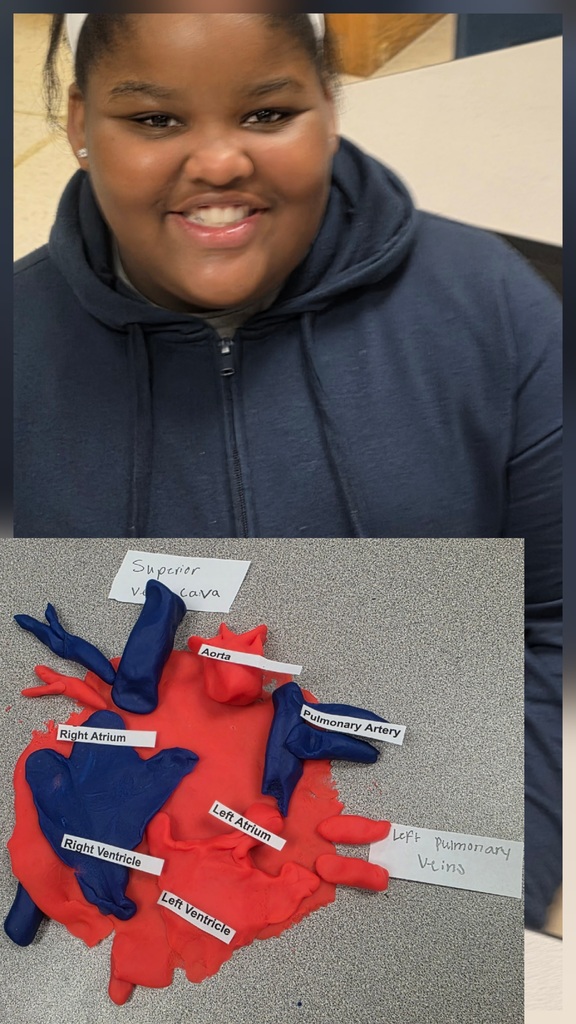 🩺💙 Dr. Scott’s 6th Grade Healthcare Science students are diving into the Cardiovascular System!