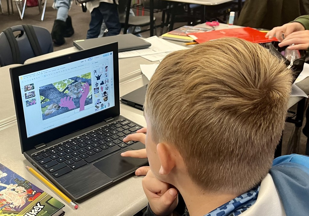 boy working on the computer