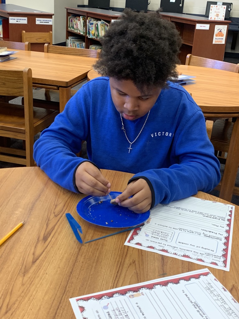 chocolate chip cookie