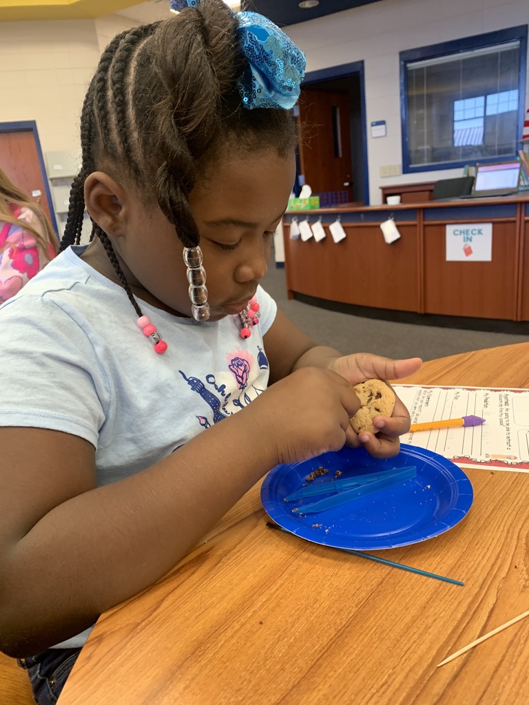 chocolate chip cookie