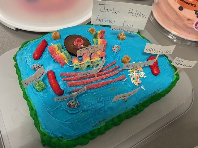 Fifth grade students display plant and animal cell science projects created in Ms. Burke’s class.