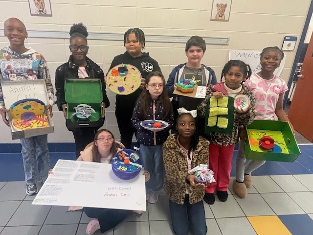 Fifth grade students display plant and animal cell science projects created in Ms. Burke’s class.